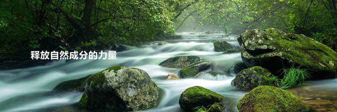 亦鹏Reco18科学成分