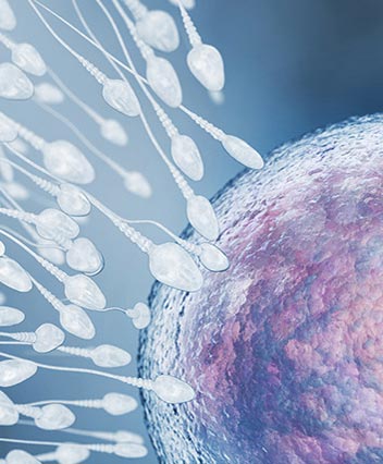 亦鹏修复焕活·唤启新生